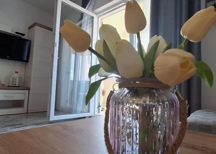 公寓 Belisima Delux *